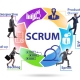 Professional Scrum Master